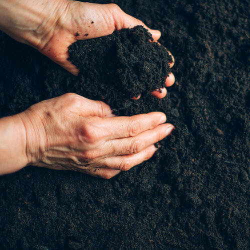 Erde D?nger H?nde.jpg