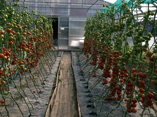 Bilder v.September 2011 058.jpg