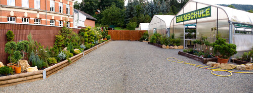 G?rtnerei Gew?chshaus Blumen.jpg